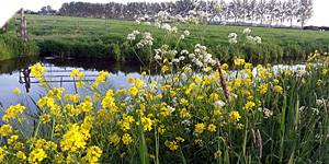 Lange afstand Waterlinie fietsroute Oost - struinen en Vorsen Lange afstand Waterlinie fietsroute Oost - struinen en Vorsen