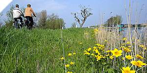 Linie ploeterroute - struinen en Vorsen Linie ploeterroute - struinen en Vorsen