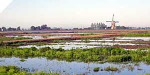 Verborgen schatten
Sporen van het Rampjaar 1672 Verborgen schatten
Sporen van het Rampjaar 1672