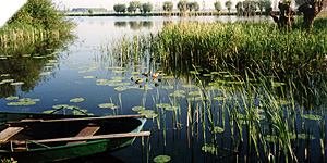 Waterlinie & Wierickeroute - Struinen en Vorsen Waterlinie & Wierickeroute - Struinen en Vorsen
